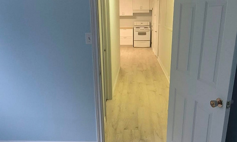 Apartment For Rent N...