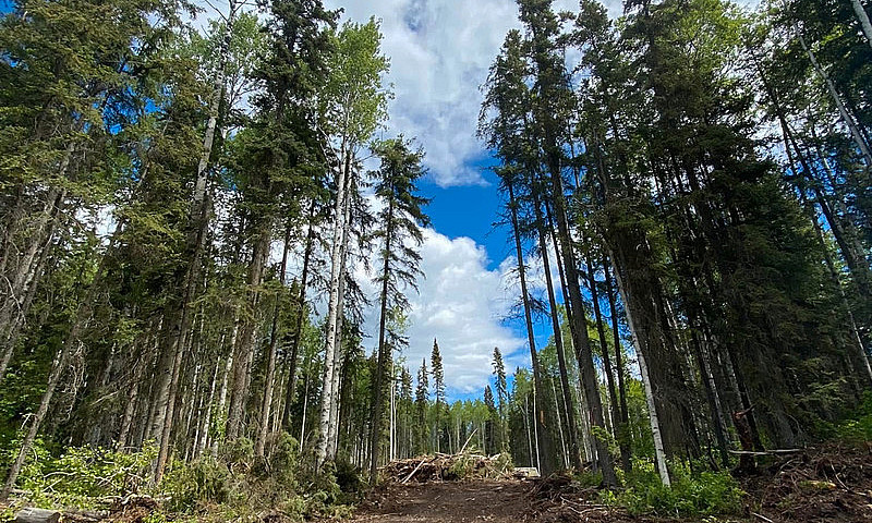 5.1 Acres Near Stuar...