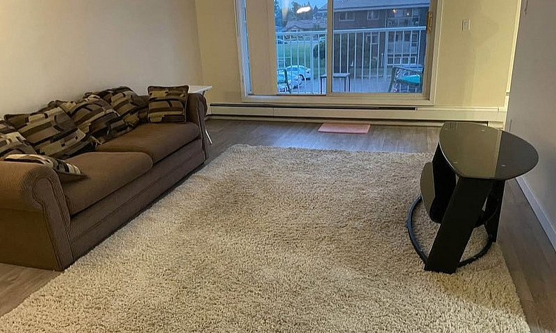 1 Bedroom Furnished ...