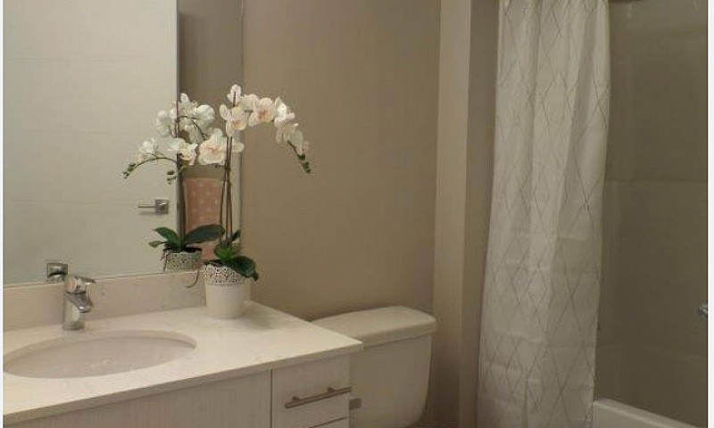 2-Bedroom  2  Bath A...