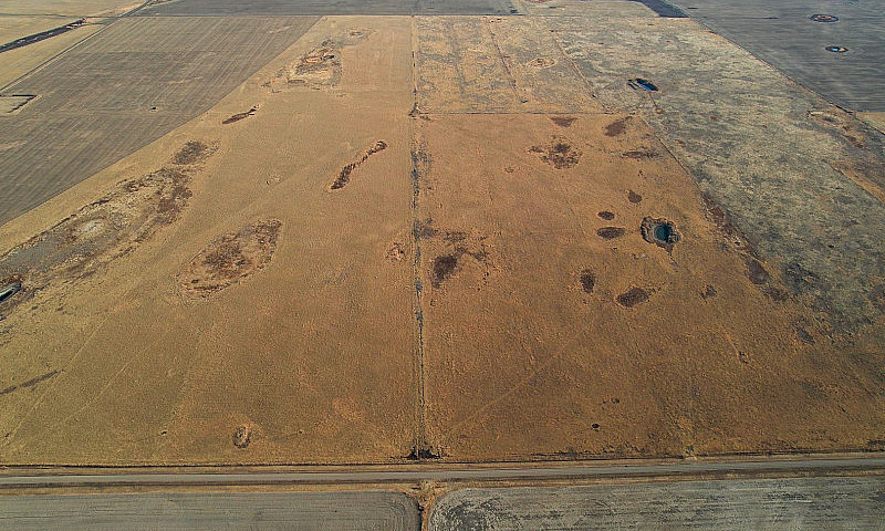Section Of Pasture I...
