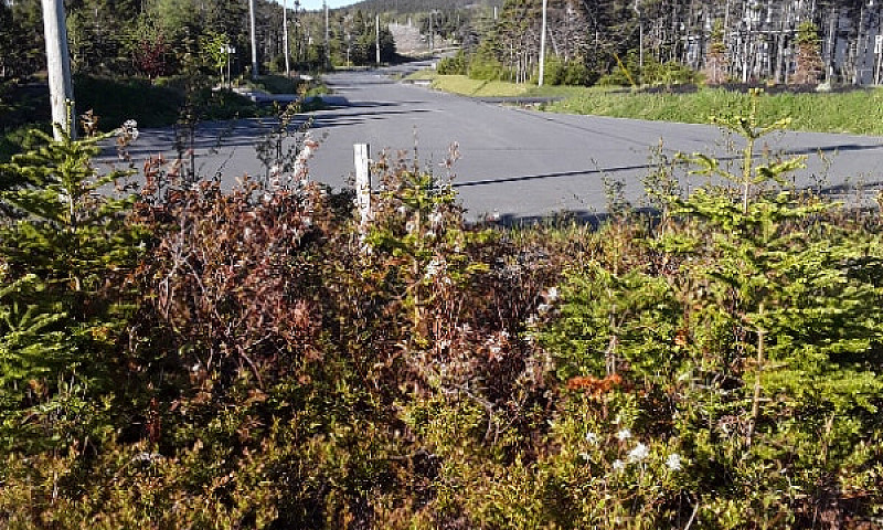 2 Acres Off Red Rock...