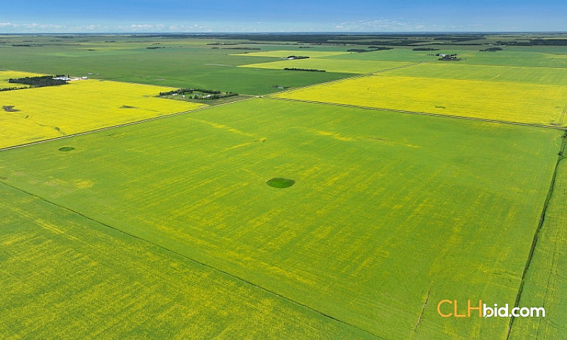 480 Acres Farm Land ...