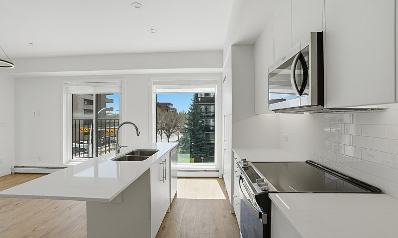Brand New Downtown C...