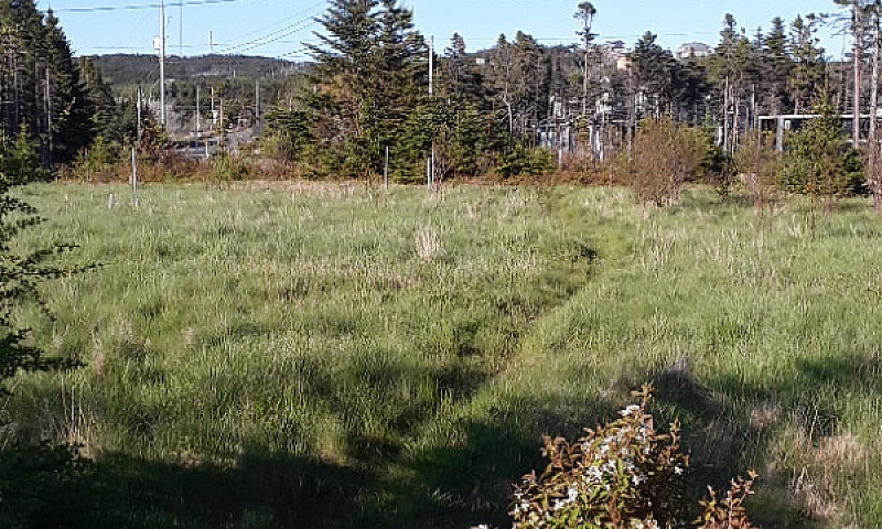 2 Acres Off Red Rock...