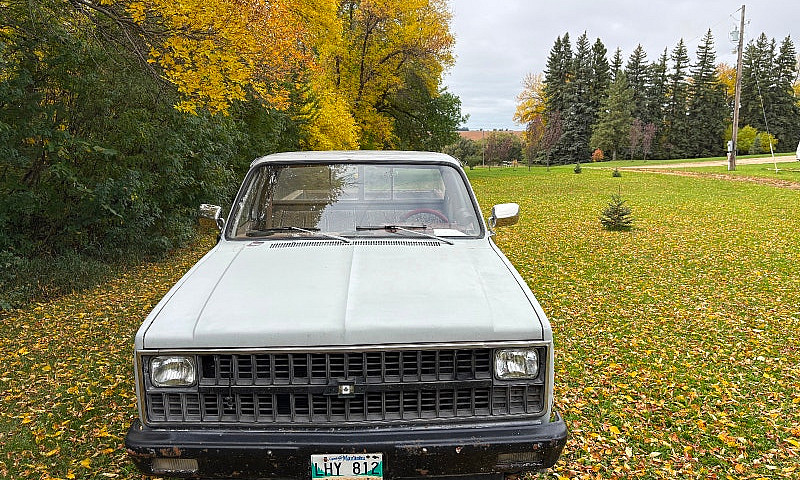 1981 C10...