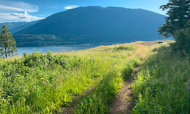 19 Acres Waterfront ...