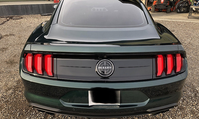 2019 Ford Mustang Bu...