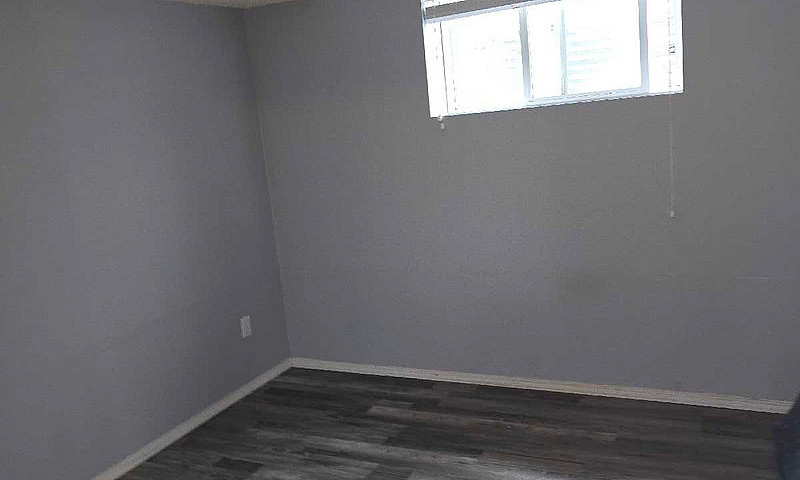 One Bedroom Basement...