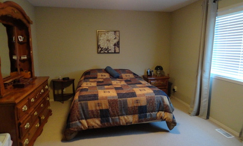 99 Red Moon Road, Wi...