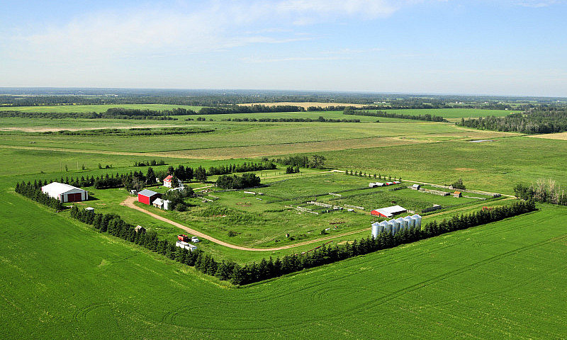 Farm For Sale...