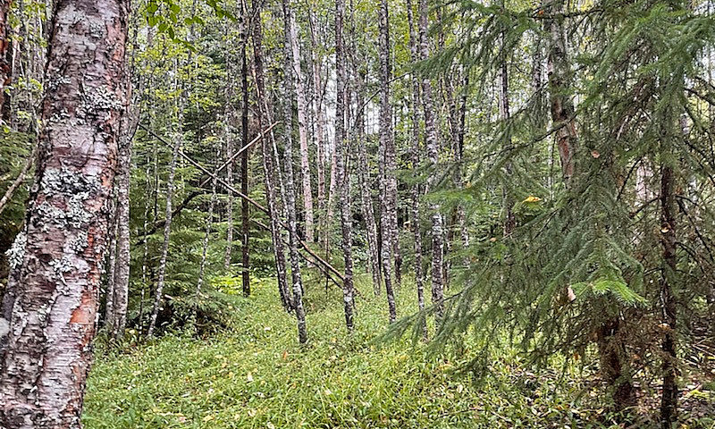 Land For Sale Minute...