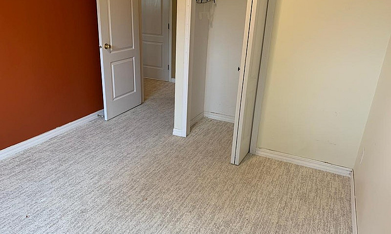 Suite For Rent...