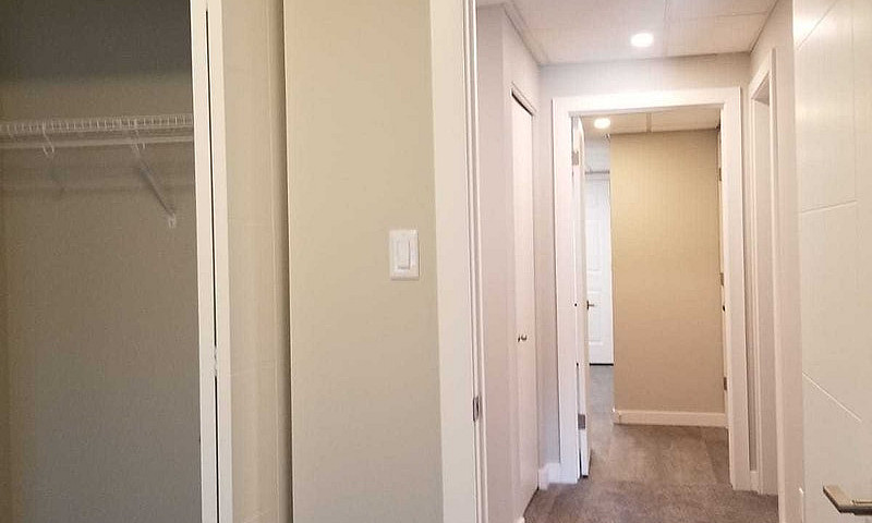 1  Bedroom Suite Bas...