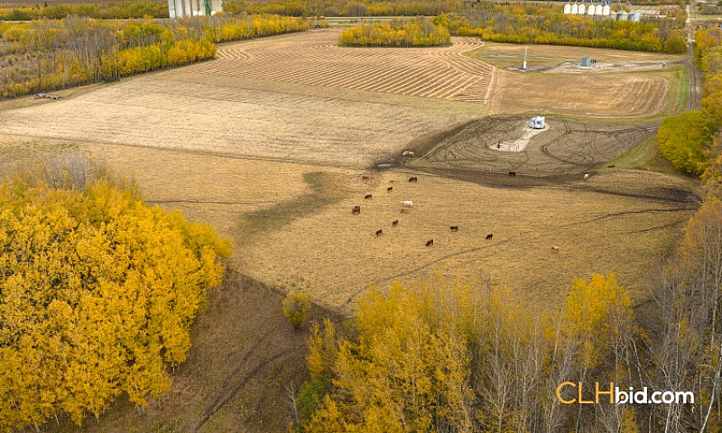 95 Acres Farm Land F...