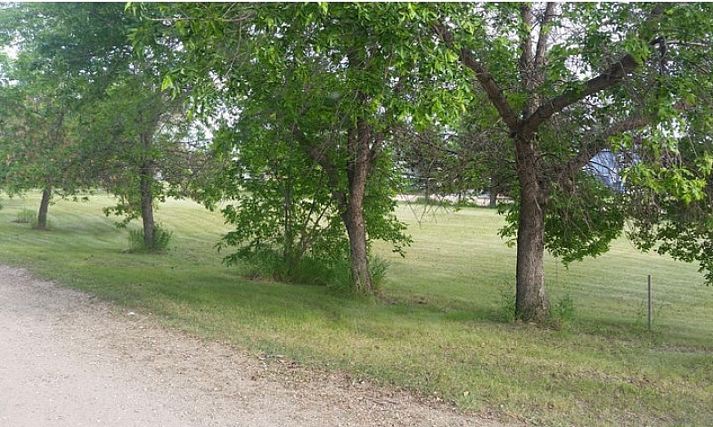 1/3 Acre  Lot In Mar...