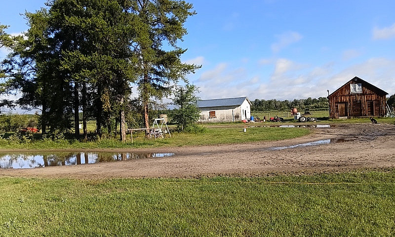 159 Acre Hobby Farm ...