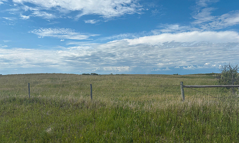 320 Acres Of Untouch...