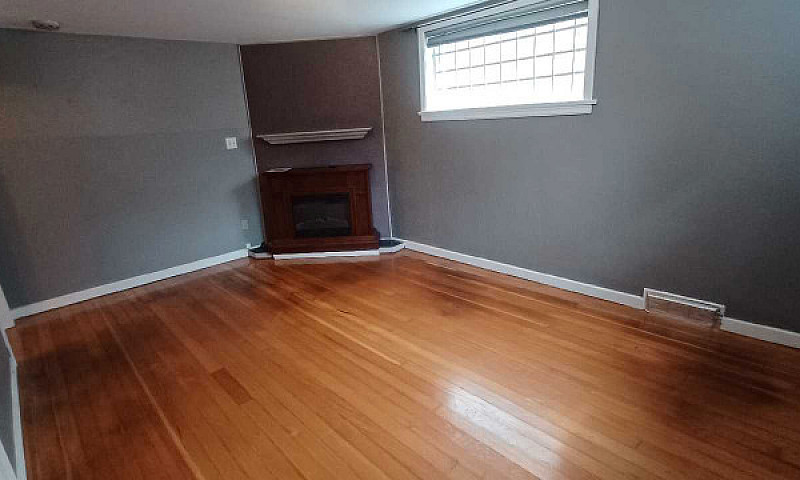 One Bedroom Basement...