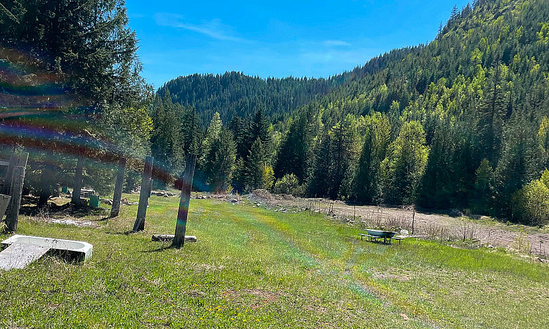 295 Secluded Acres W...