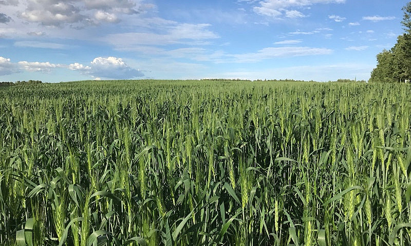 640 Acre Farm For Sa...