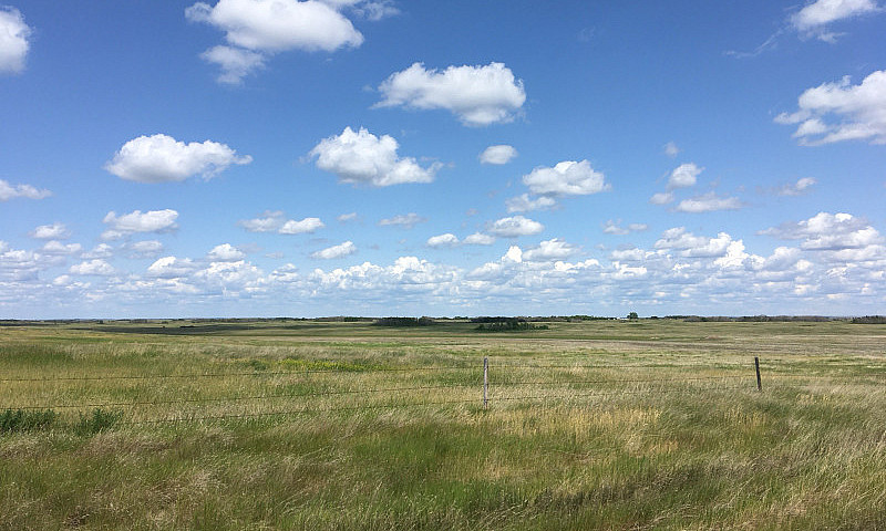 Pasture Land For Sal...