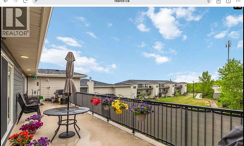 3 Bedroom Apartment ...