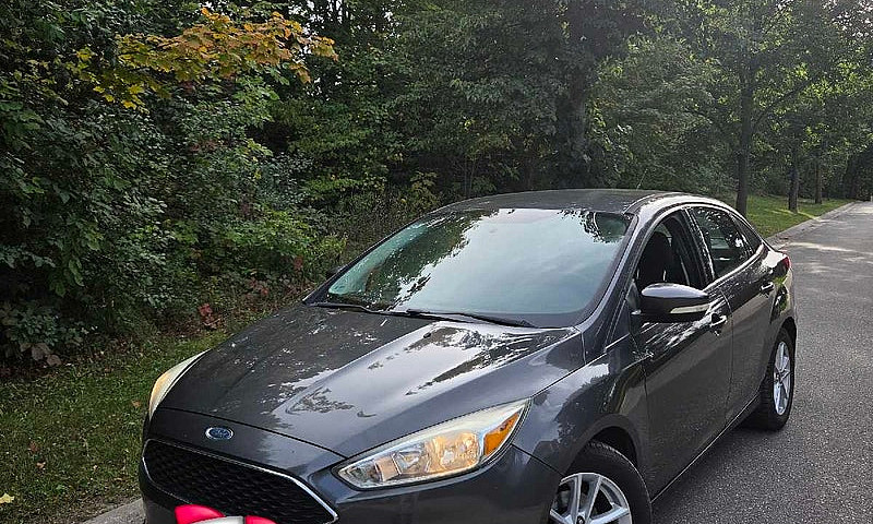 2015 Ford Focus ...