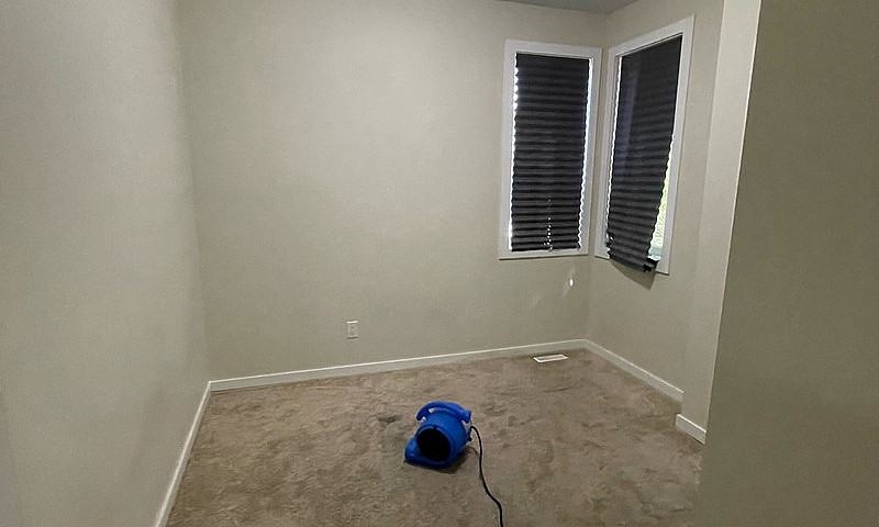 4 Bed 3 Bath For Ren...
