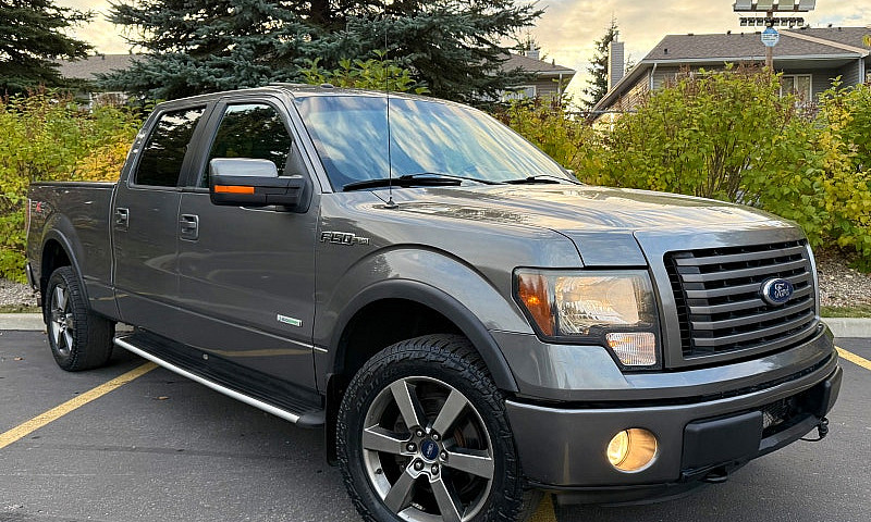 2011 Ford F150 Fx4 C...