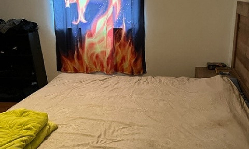 3 1/2 For Rent In Pi...