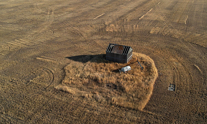 Section Of Pasture I...