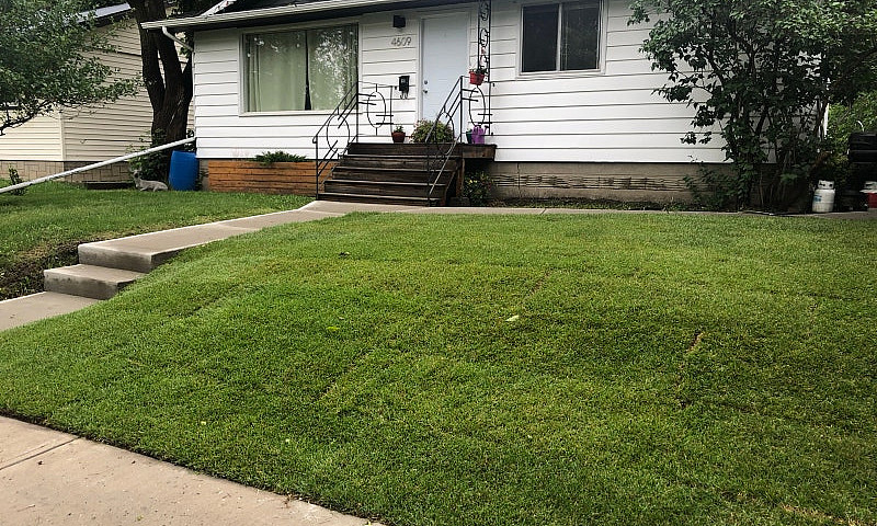For Rent - Bright 2 ...