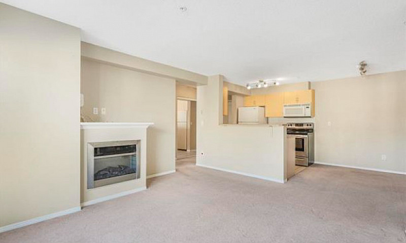 Stylish, Move-In Rea...