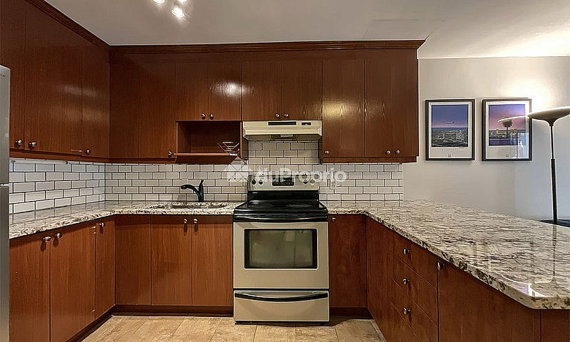 Large 1 Bedroom 1 Ba...