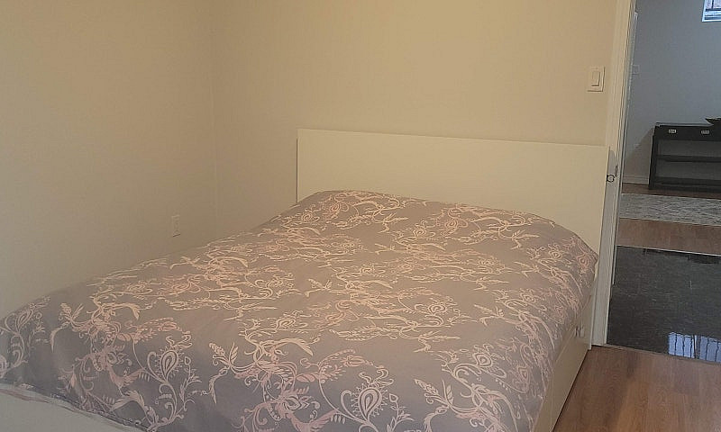 One Bedroom Basement...