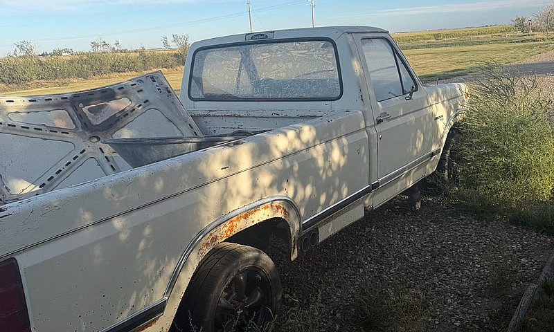 1980 Ford F100 ...