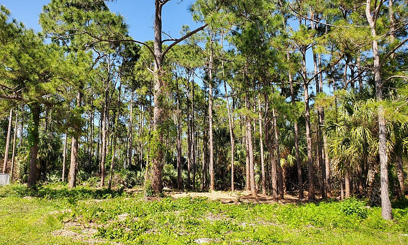 Florida Land For Sal...