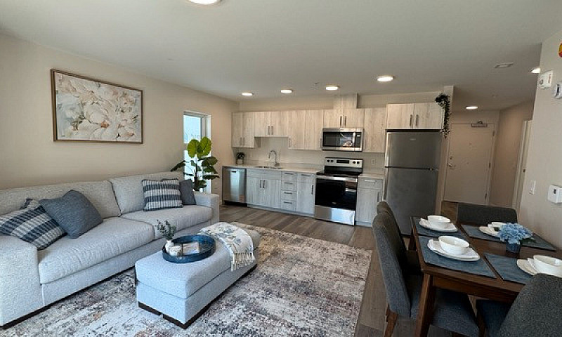 **2Bed 1Bath Apartme...