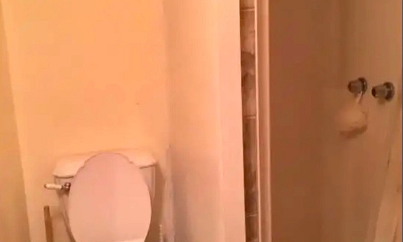 1Br Immediately Avai...