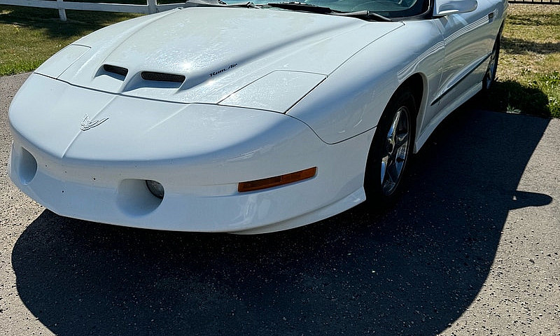 For Sale 1997 Pontia...