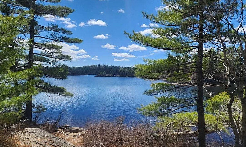 Looking For Lakefron...