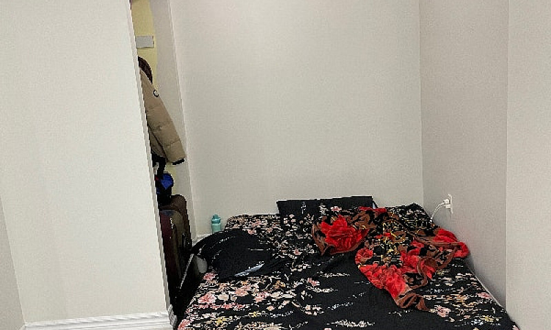 One Bedroom Basement...