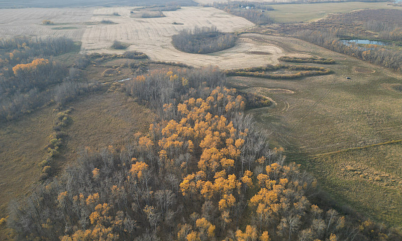 160-Acre Heritage Fa...