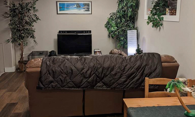 2 Bed Basement Suite...