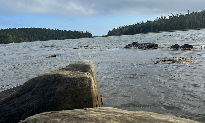 Waterfront Lots, 5+A...