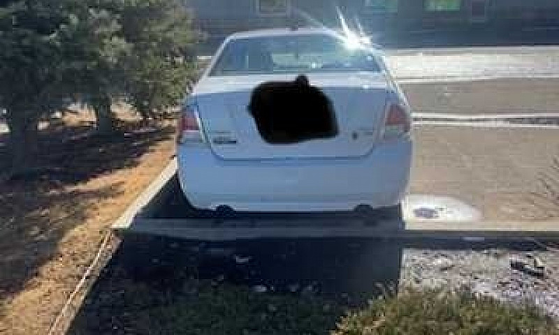 Ford Fusion Needed G...