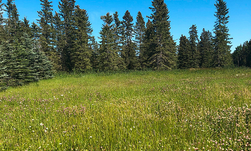 4 Acres In Mountain ...