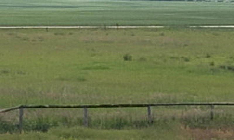 5 Acre Pasture To Be...