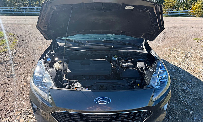 2020 Ford Escape Tit...